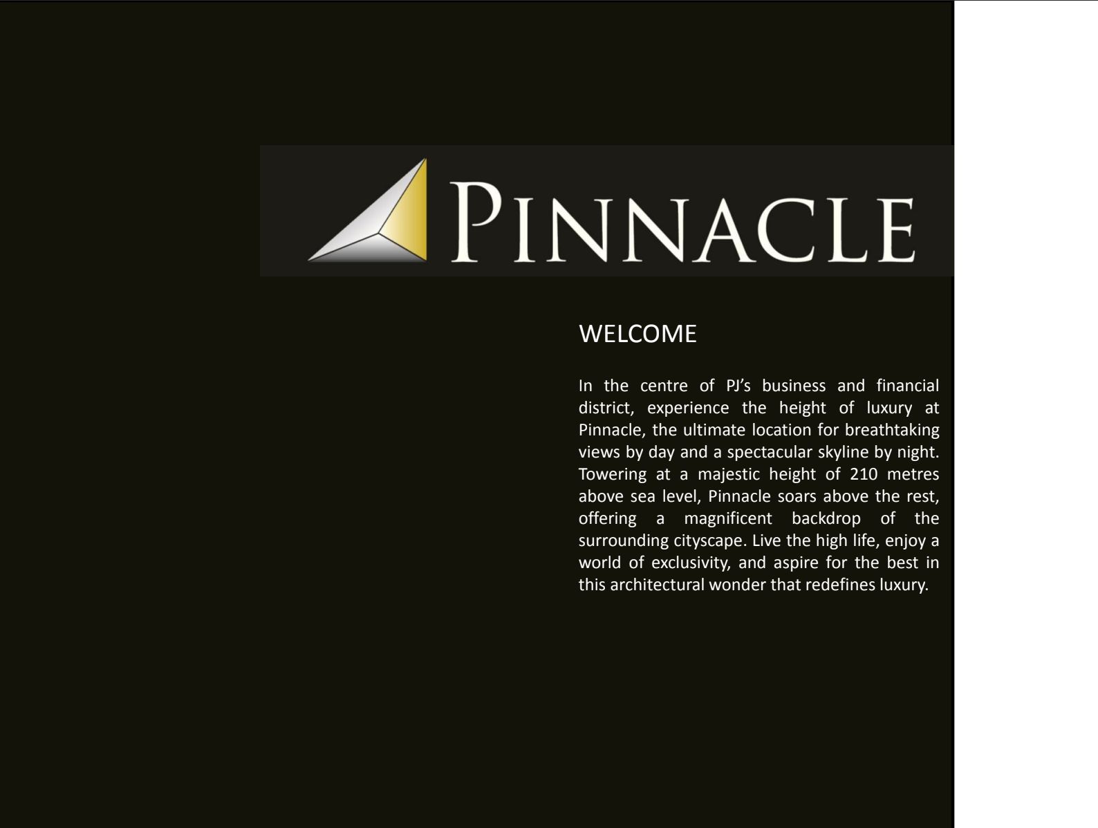 The Pinnacle PJ - Image 4